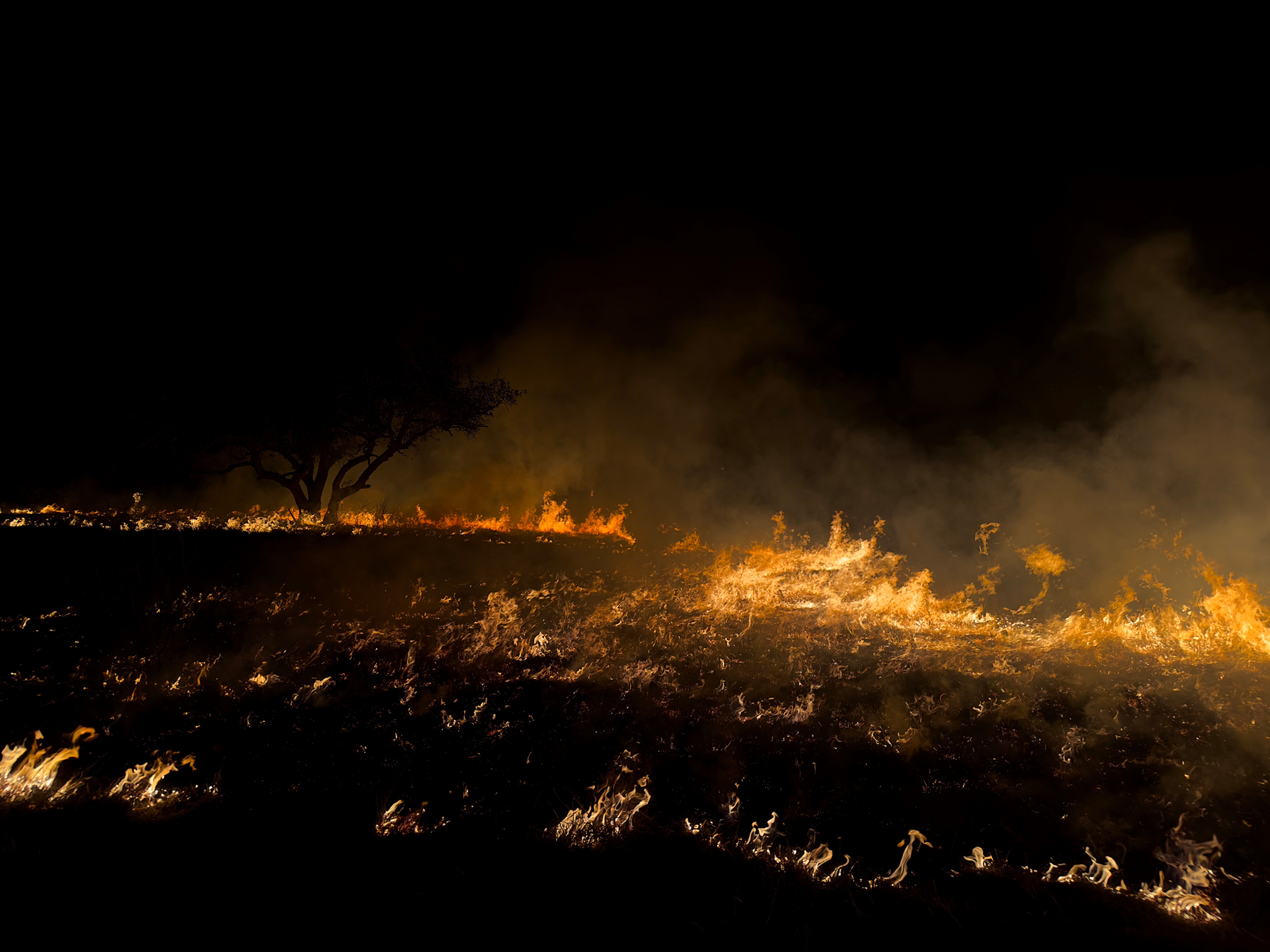 Powerful wildfires rage in France and Spain